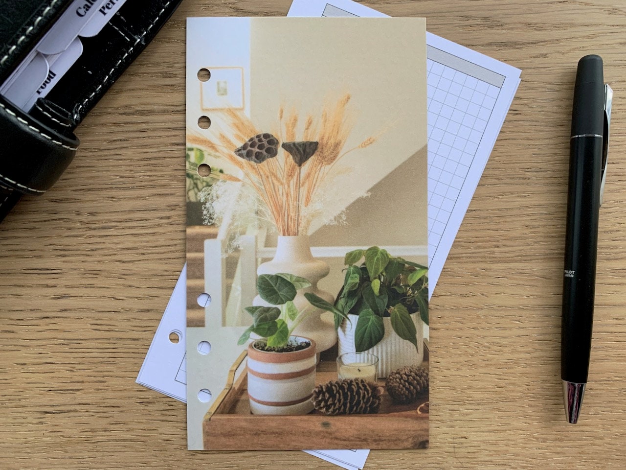 Dried Lotus and Foliage Dashboard
