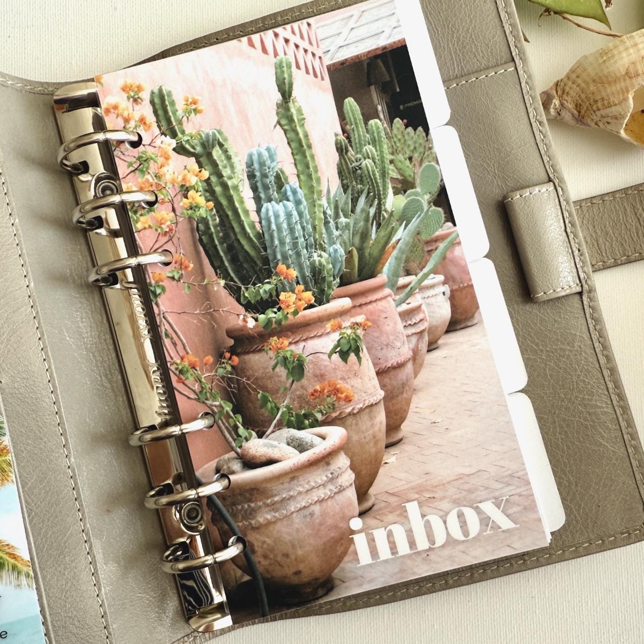 Summer Cactus Pots Inbox Dashboard - Fits A5, B6, Personal Wide, Personal, A6, Pocket, Mini Ring Planners. Protective Cover.