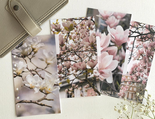 Spring Magnolia Planner Dividers - Choose Your Size - Photographic Side Tabs. Blank Tabs to use with Tab Labels