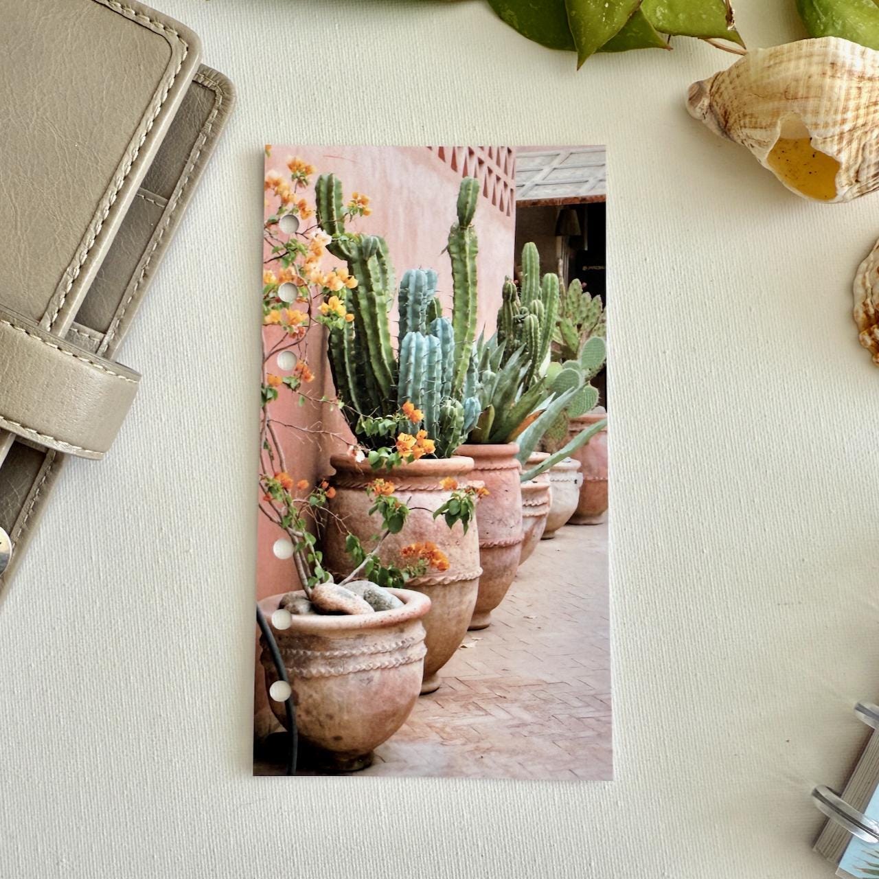 Summer Cactus Pots Dashboard - Fits A5, B6, Personal Wide, Personal, A6, Pocket, Mini Ring Planners. Protective Cover.