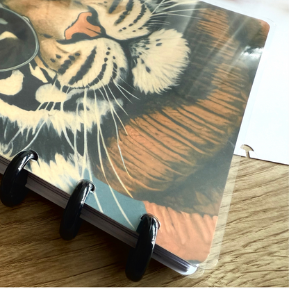 Glass Covers for Disc Planners