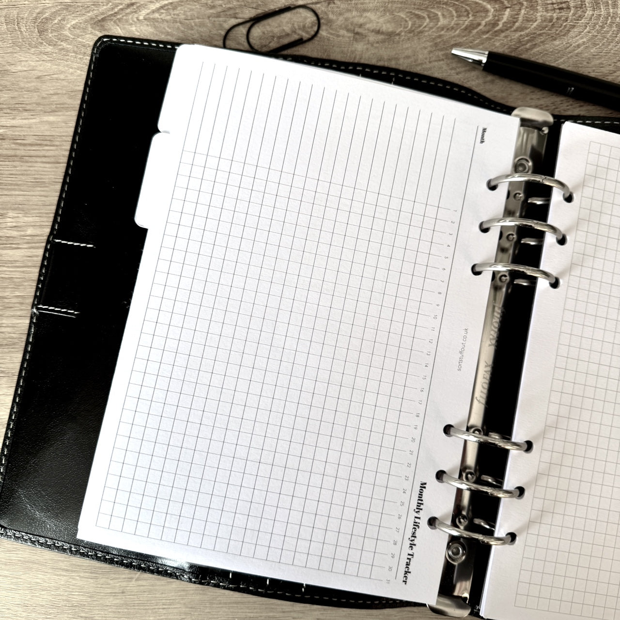 Monthly Foldout - Printed Planner Inserts - Choose Your Size