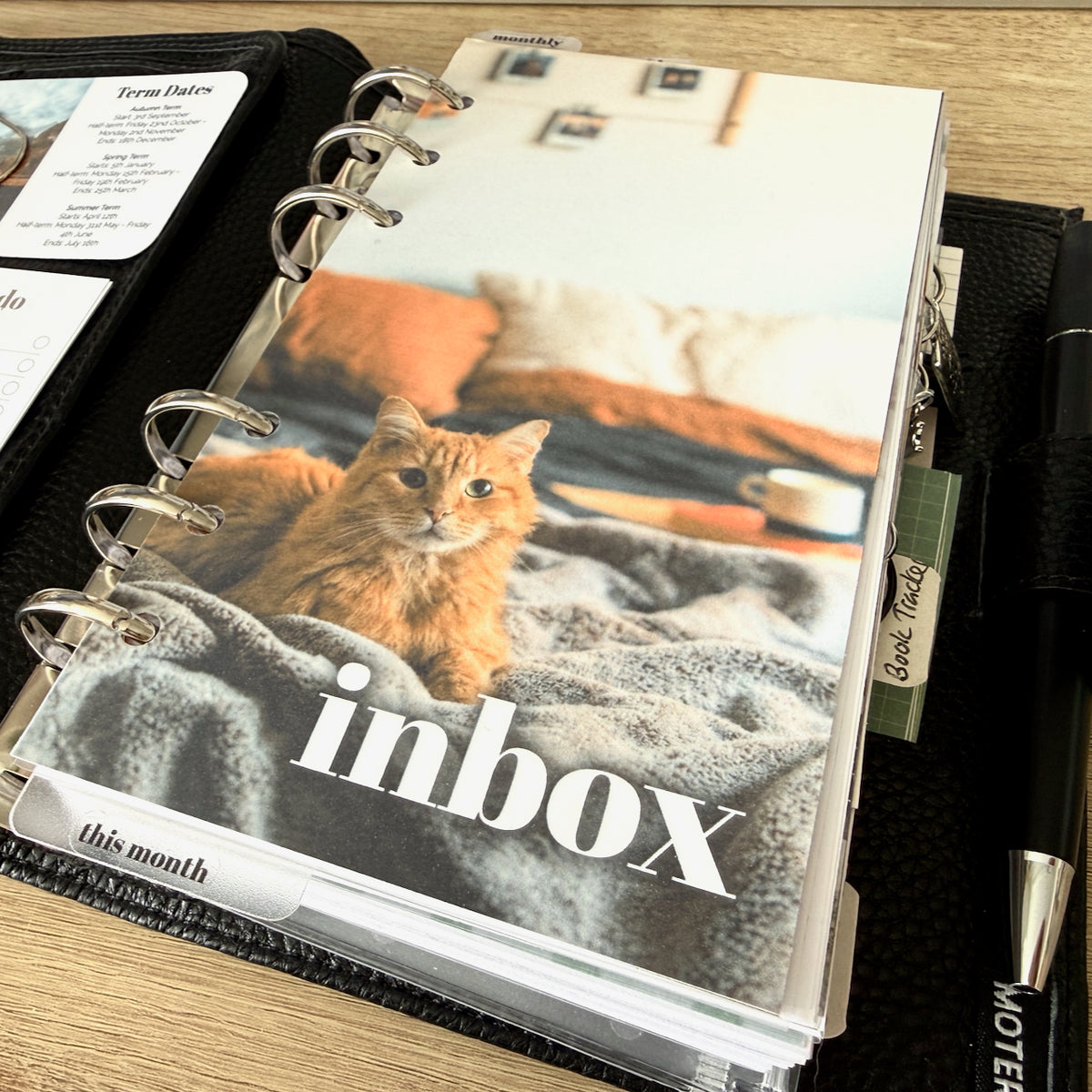 Ginger Tabby Inbox Printable Dashboard - Instant PDF Download - Disc, Rings or Hobonichi - All Planner Sizes