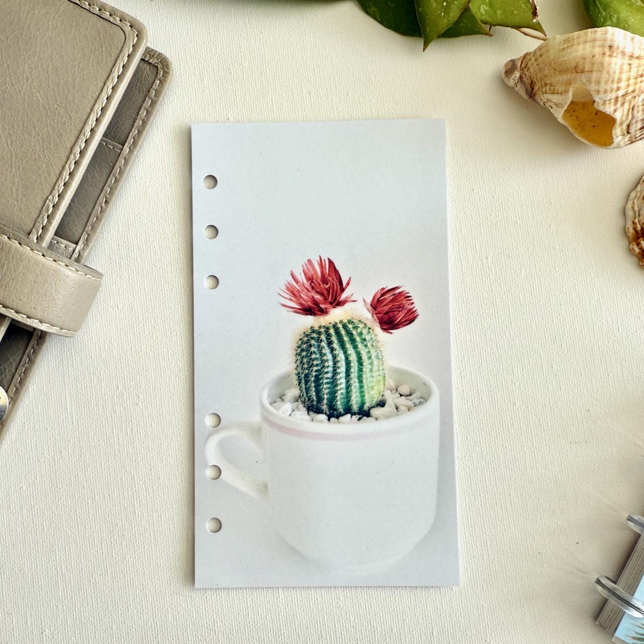 Cactus Cup Dashboard - Fits A5, B6, Personal Wide, Personal, A6, Pocket, Mini Ring Planners. Protective Cover.