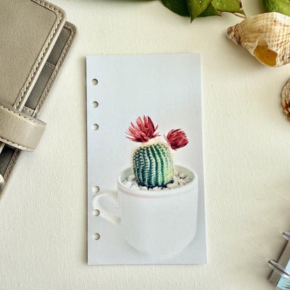 Cactus Cup Dashboard - Fits A5, B6, Personal Wide, Personal, A6, Pocket, Mini Ring Planners. Protective Cover.