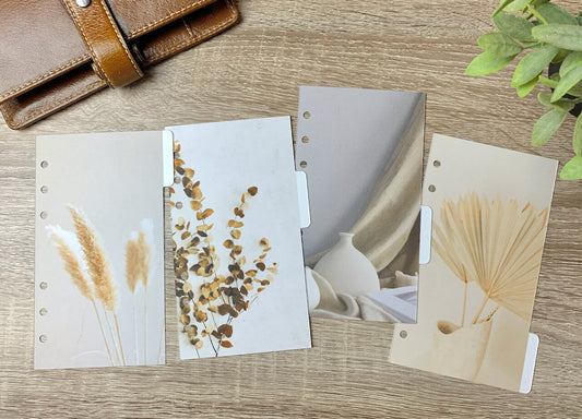 Pure Minimal Planner Dividers