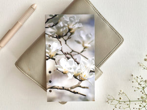 White magnolia - Spring Dashboard - Fits A5, B6, Personal Wide, Personal, A6, Pocket, Mini Ring Planners. Protective Cover.