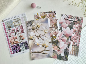 Magnolia - Spring Bundle 2 saving 25% - Fits A5, B6, Personal Wide, FCC, Personal, A6, Pocket +, Pocket, Mini Ring Planners