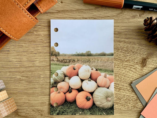 Pumpkin Pile - Autumn Fall - Dashboard - Fits A5, B6, Personal Wide, Personal, A6, Pocket, Mini Ring Planners. Protective Cover.