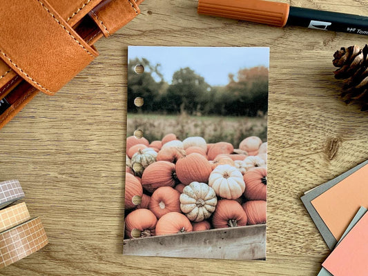 Pumpkin Wagon - Autumn Fall - Dashboard - Fits A5, B6, Personal Wide, Personal, A6, Pocket, Mini Ring Planners. Protective Cover.