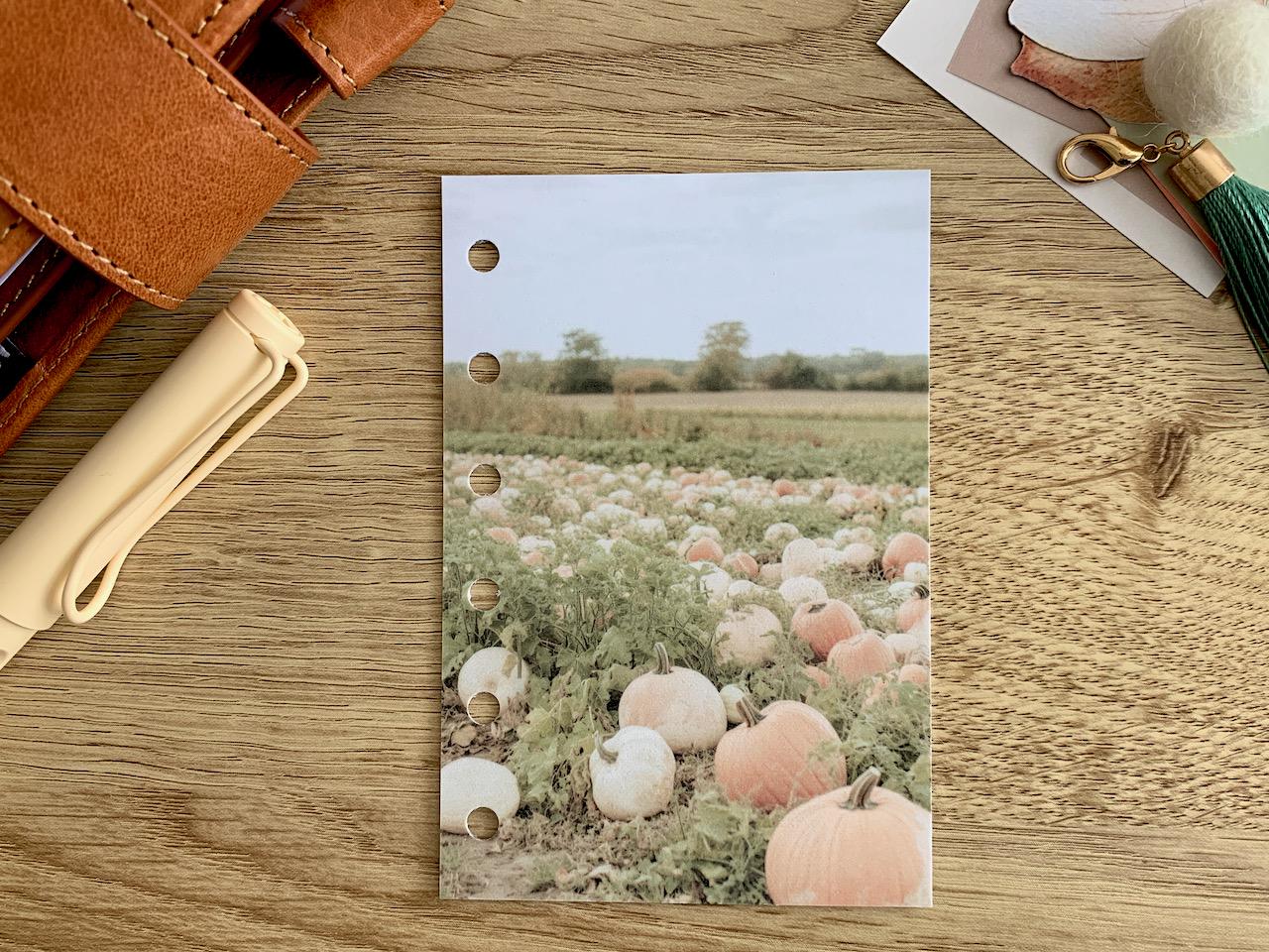 Pumpkin Patch - Autumn Fall - Dashboard - Fits A5, B6, Personal Wide, Personal, A6, Pocket, Mini Ring Planners. Protective Cover.