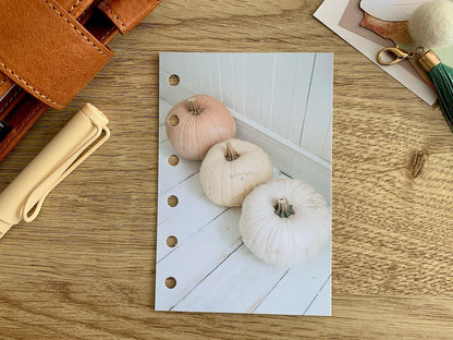 Pumpkin Trio - Autumn Fall - Dashboard - Fits A5, B6, Personal Wide, Personal, A6, Pocket, Mini Ring Planners. Protective Cover.