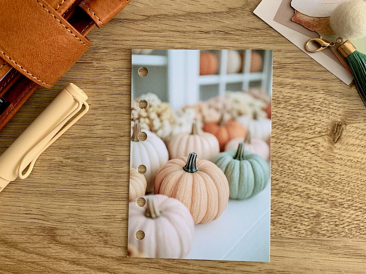 Decorating for Fall - Fall - Dashboard - Fits A5, B6, Personal Wide, Personal, A6, Pocket, Mini Ring Planners. Protective Cover.