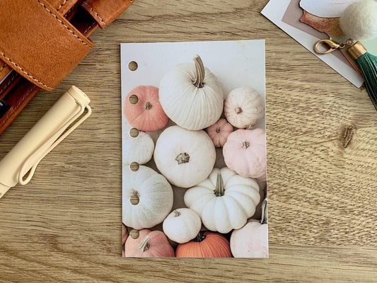 Pale Pumpkins - Autumn Fall - Dashboard - A5, B6, Personal Wide, Personal, A6, Pocket, Mini Ring Planners. Protective Cover.