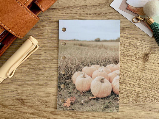 Pumpkin Season - Autumn Fall - Dashboard - Fits A5, B6, Personal Wide, Personal, A6, Pocket, Mini Ring Planners. Protective Cover.