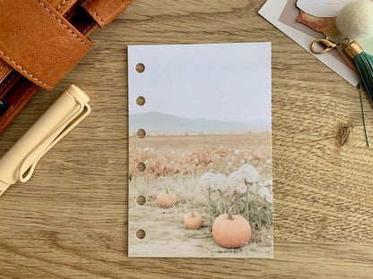 Pumpkin Field - Autumn Fall - Dashboard - Fits A5, B6, Personal Wide, Personal, A6, Pocket, Mini Ring Planners. Protective Cover.