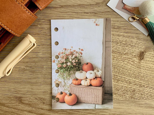 Pumpkin Basket - Autumn Fall - Dashboard - Fits A5, B6, Personal Wide, Personal, A6, Pocket, Mini Ring Planners. Protective Cover.