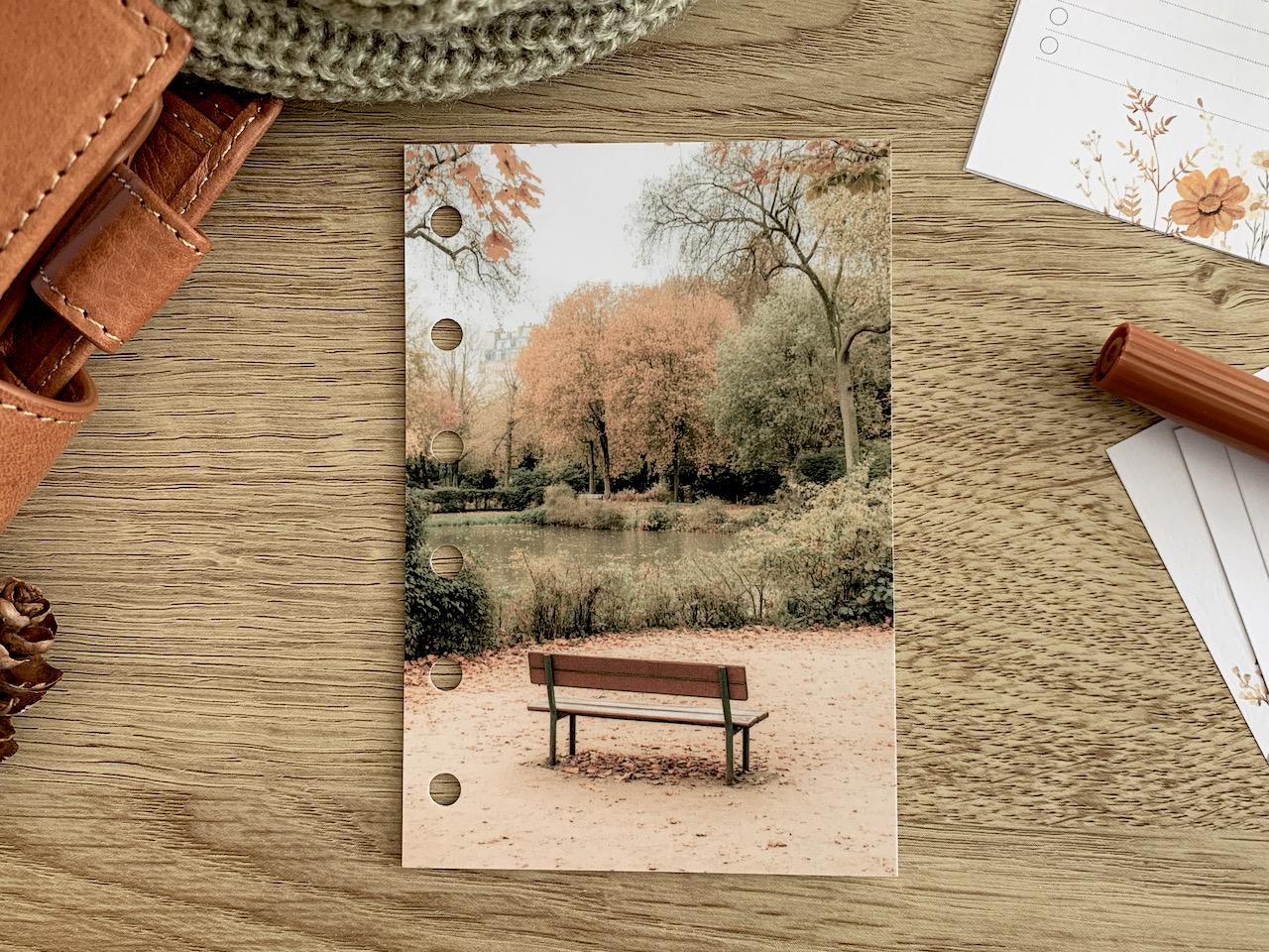 Paris Bench - Autumn Dashboard - Fits A5, B6, Personal Wide, Personal, A6, Pocket, Mini Ring Planners. Protective Cover.