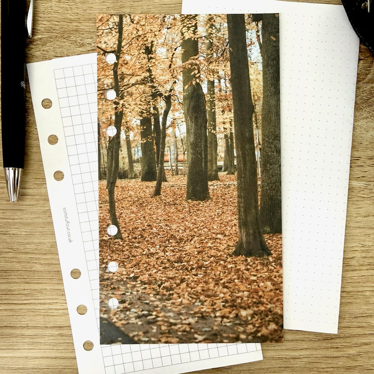 Crunchy Leaves Dashboard - Choose Your Ring or Disc Planner Size