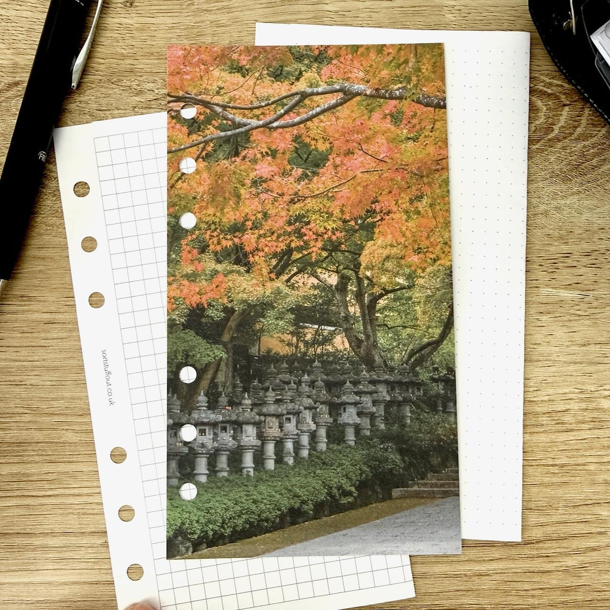 Toro Lanterns Dashboard - Choose Your Ring or Disc Planner Size