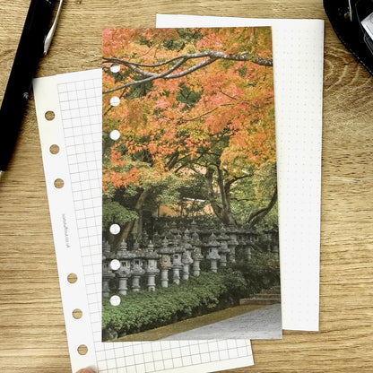Toro Lanterns Dashboard - Choose Your Ring or Disc Planner Size