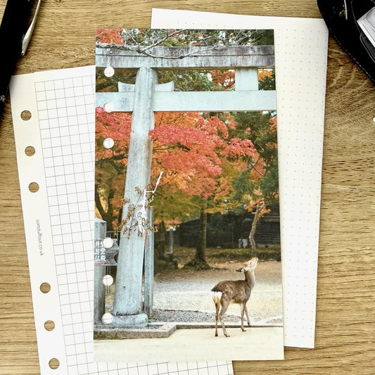 Deer Shrine Dashboard - Choose Your Ring or Disc Planner Size