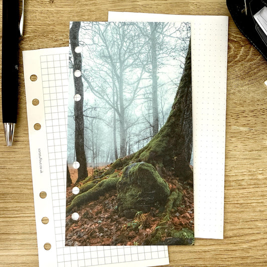 Moss and Mist Dashboard - Choose Your Ring or Disc Planner Size