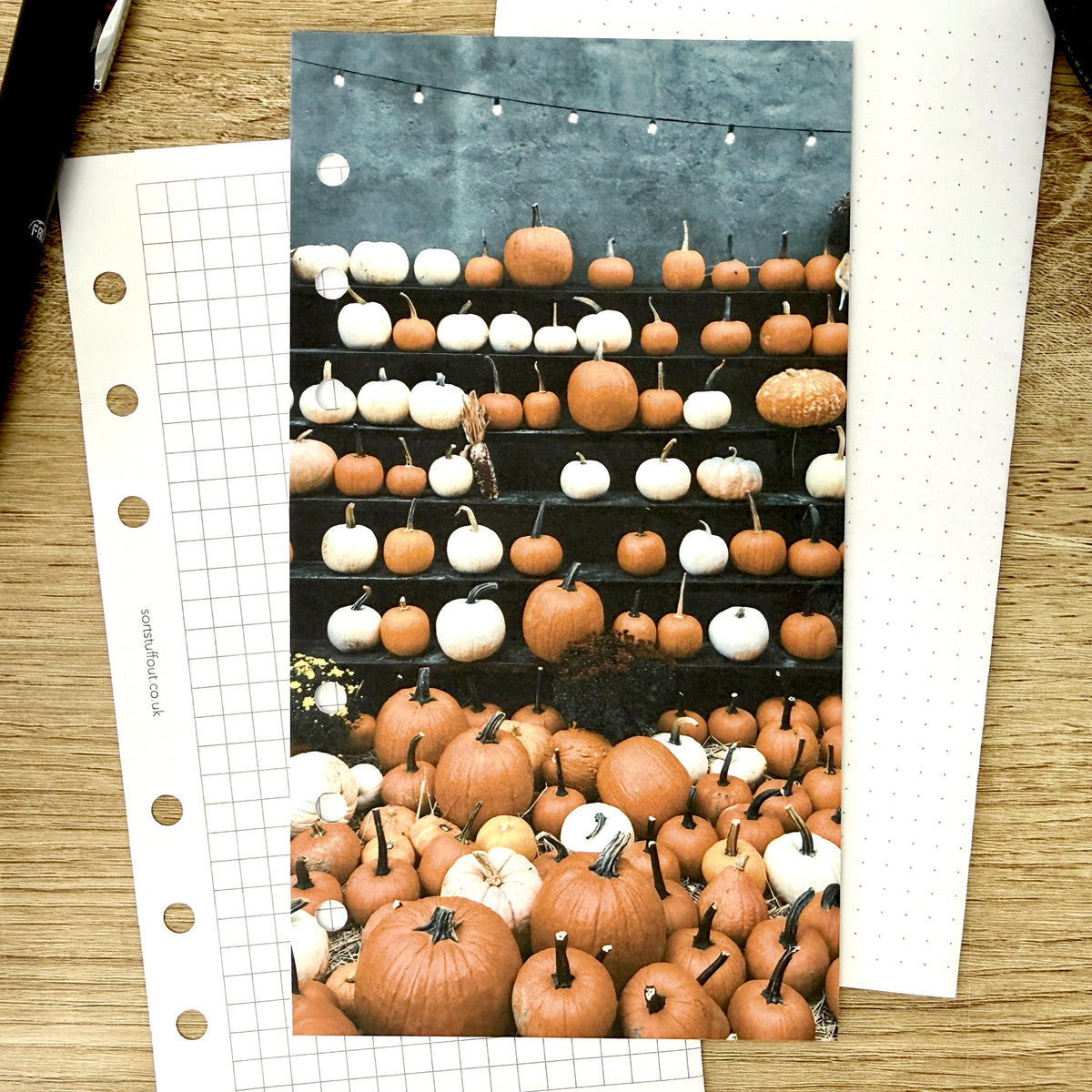 All the Pumpkins! Dashboard - Choose Your Ring or Disc Planner Size