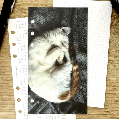 Happy Cat Dashboard - Choose Your Ring or Disc Planner Size
