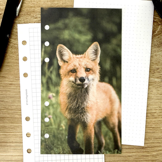 Fox in the Flowers Dashboard - Choose Your Ring or Disc Planner Size