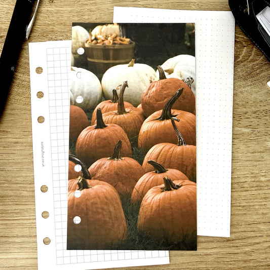 Pumpkin Time Dashboard - Choose Your Ring or Disc Planner Size