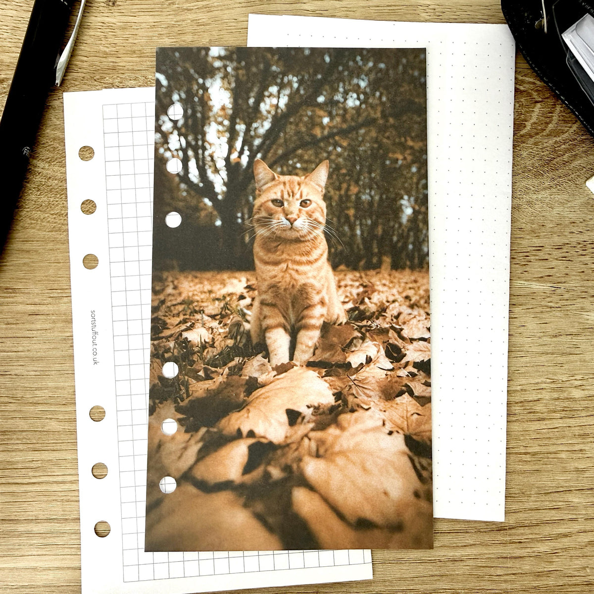 Autumn Cat Dashboard - Choose Your Ring or Disc Planner Size