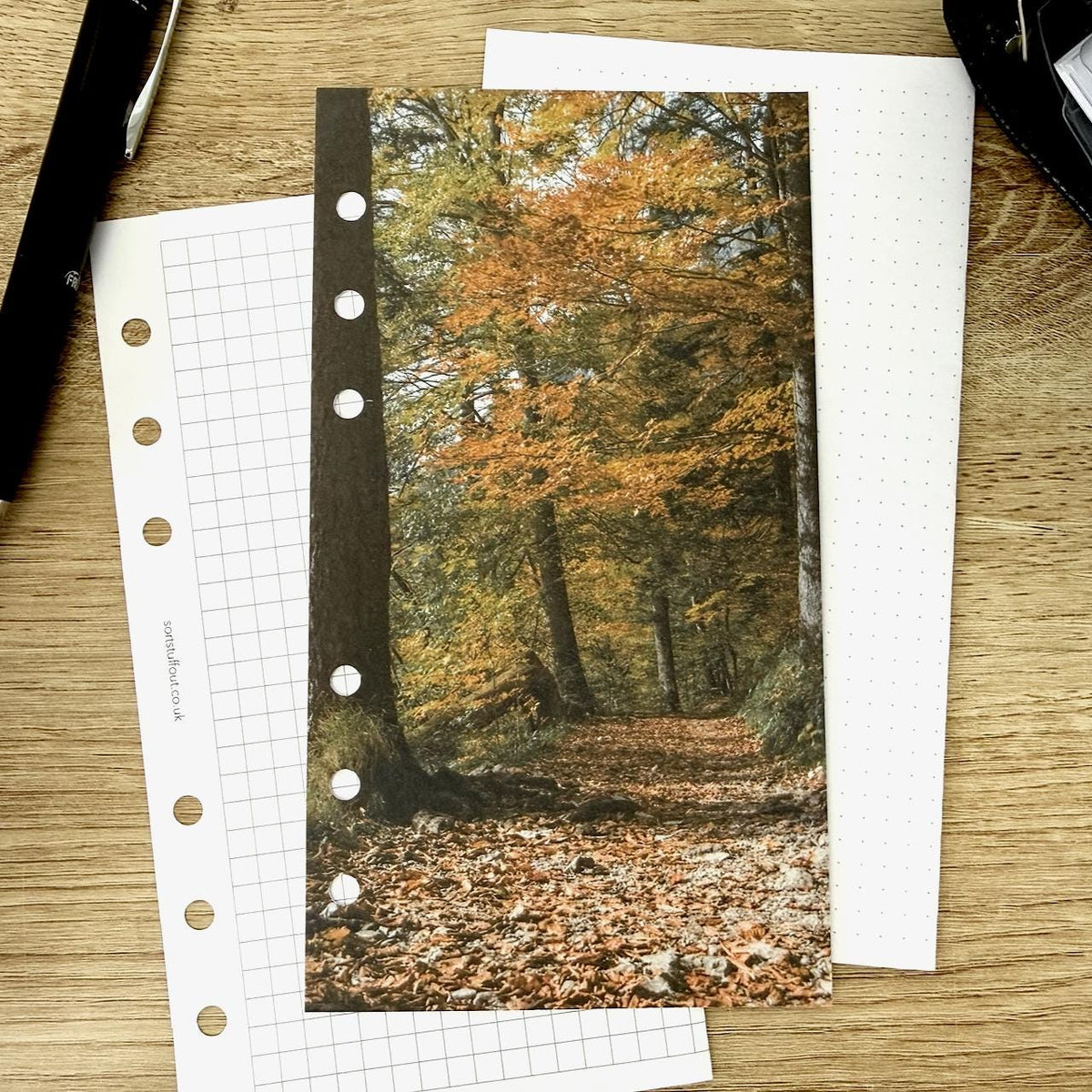 Autumn Walk Dashboard - Choose Your Ring or Disc Planner Size