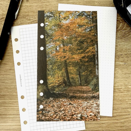 Autumn Walk Dashboard - Choose Your Ring or Disc Planner Size