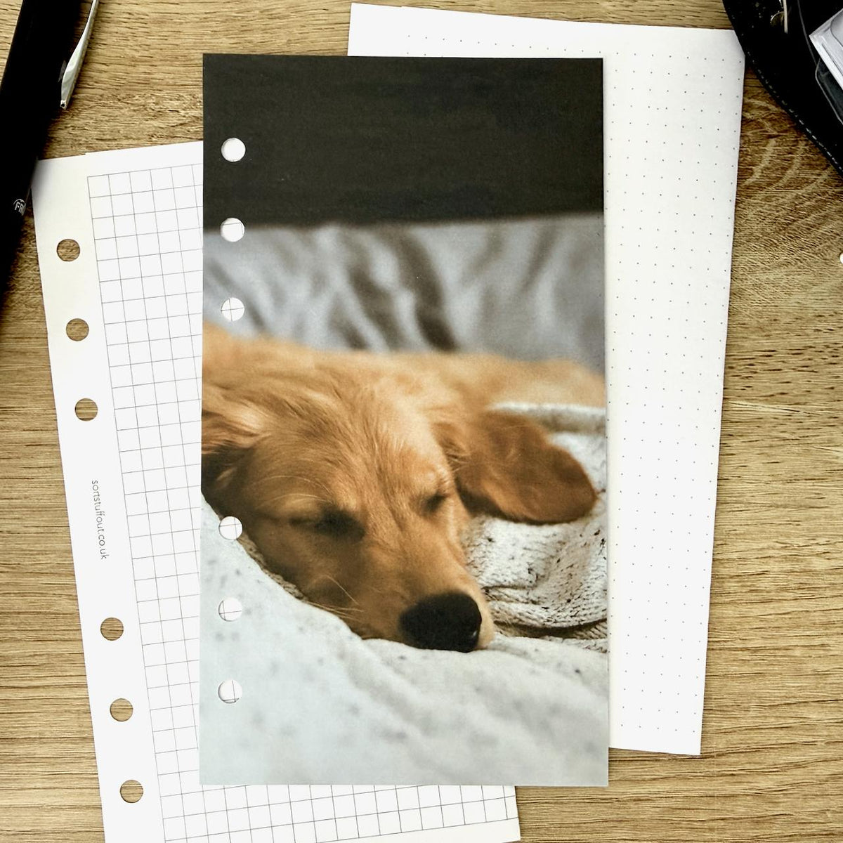 Sleepy Dog Dashboard - Choose Your Ring or Disc Planner Size
