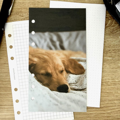 Sleepy Dog Dashboard - Choose Your Ring or Disc Planner Size