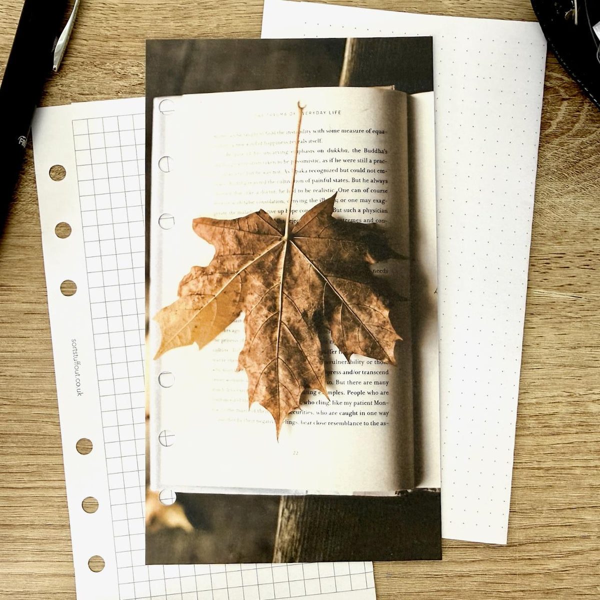 Maple Book Dashboard - Choose Your Ring or Disc Planner Size