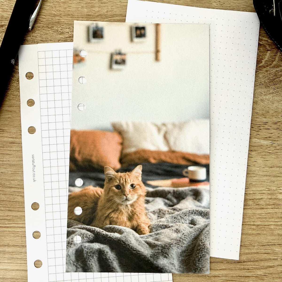 Ginger Tabby Dashboard - Choose Your Ring or Disc Planner Size