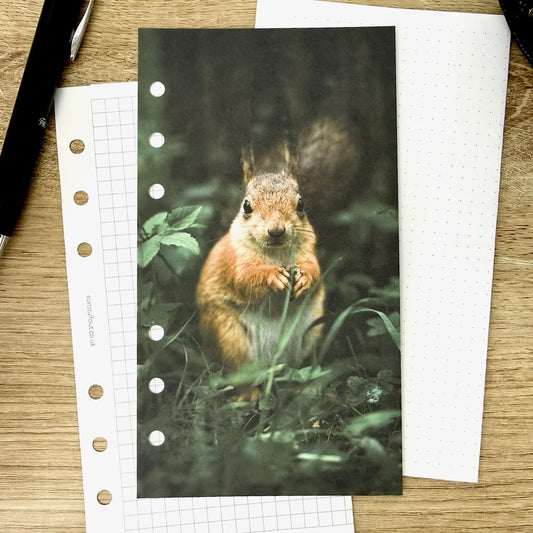 Woodland Squirrel Dashboard - Choose Your Ring or Disc Planner Size