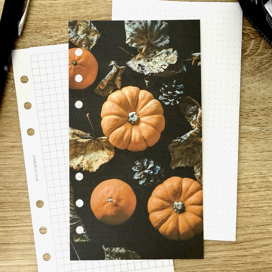 Tiny Pumpkins Dashboard - Choose Your Ring or Disc Planner Size