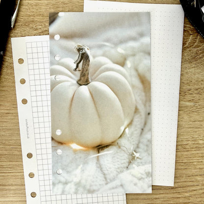 White Pumpkin and Fairy Lights Dashboard - Choose Your Ring or Disc Planner Size