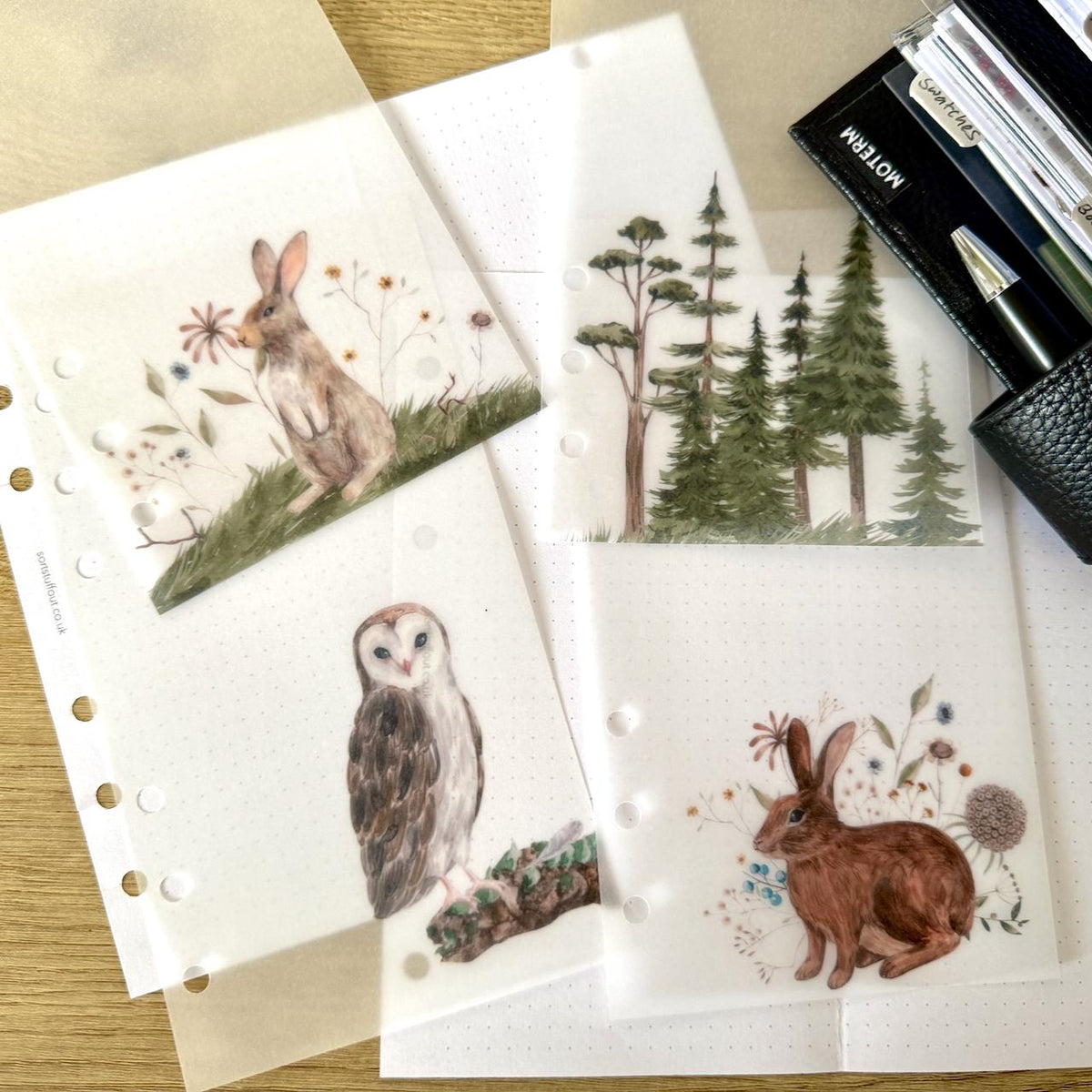 Woodland Friends Vellum Dashboards - Set of 4 - Choose Your Ring of Disc Planner Size Insert