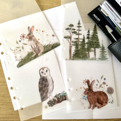 Woodland Friends Vellum Dashboards - Set of 4 - Choose Your Ring of Disc Planner Size Insert