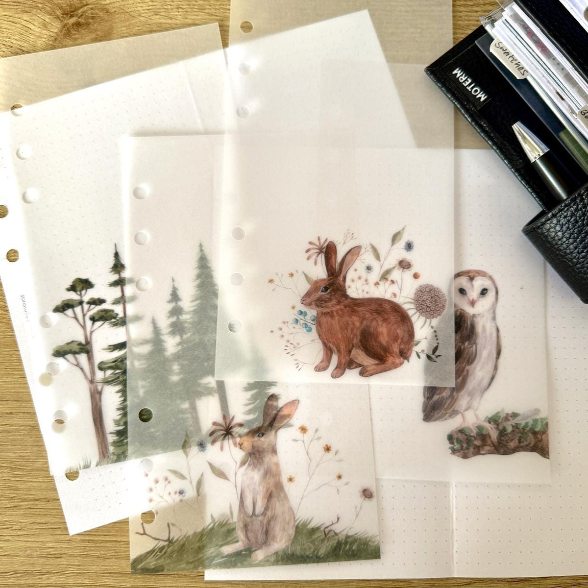Woodland Friends Vellum Dashboards - Set of 4 - Choose Your Ring of Disc Planner Size Insert