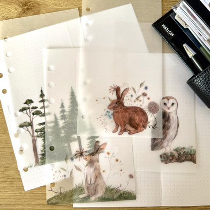 Woodland Friends Vellum Dashboards - Set of 4 - Choose Your Ring of Disc Planner Size Insert