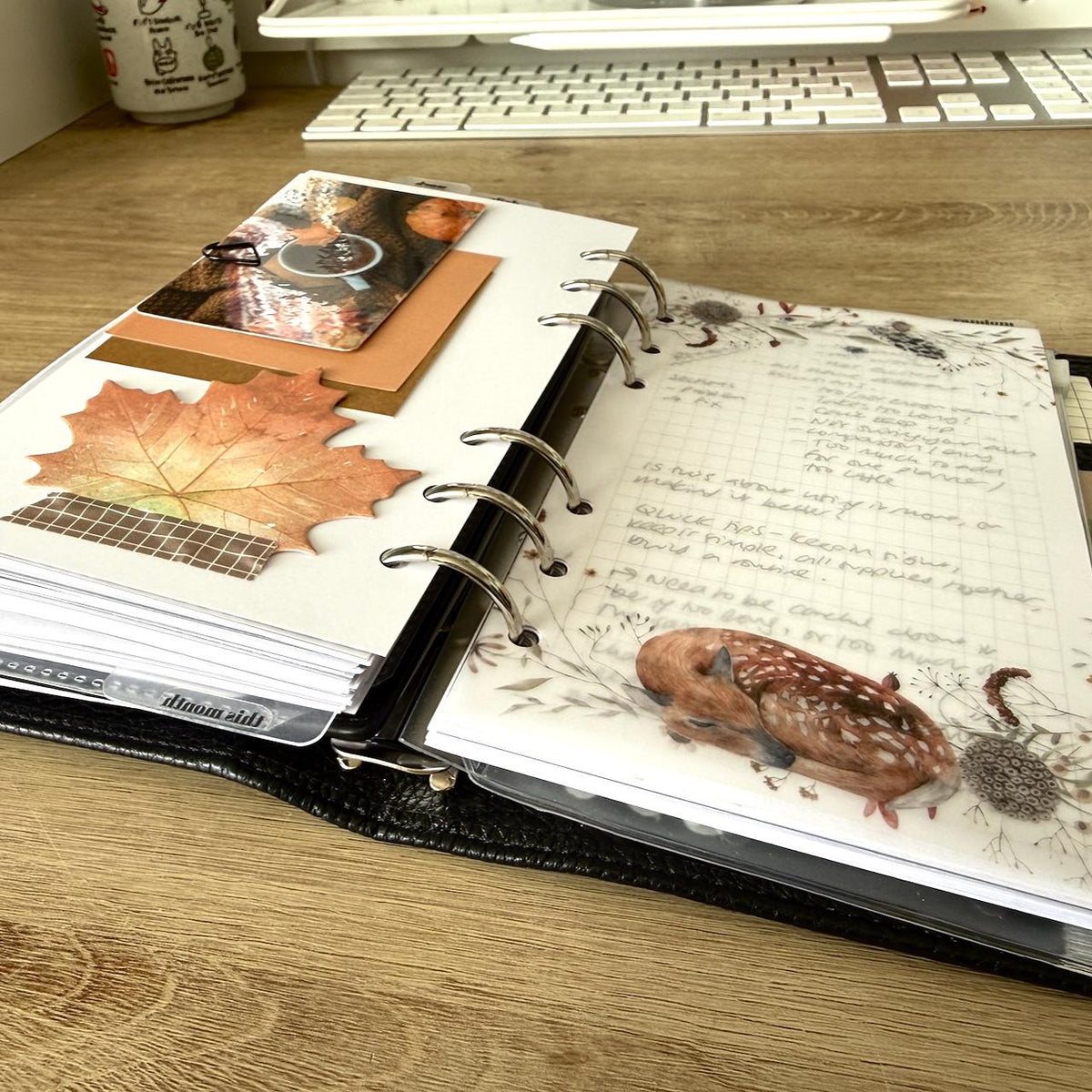 Cosy Woodland Vellum Dashboards - Set of 5 - Choose Your Ring of Disc Planner Size Insert