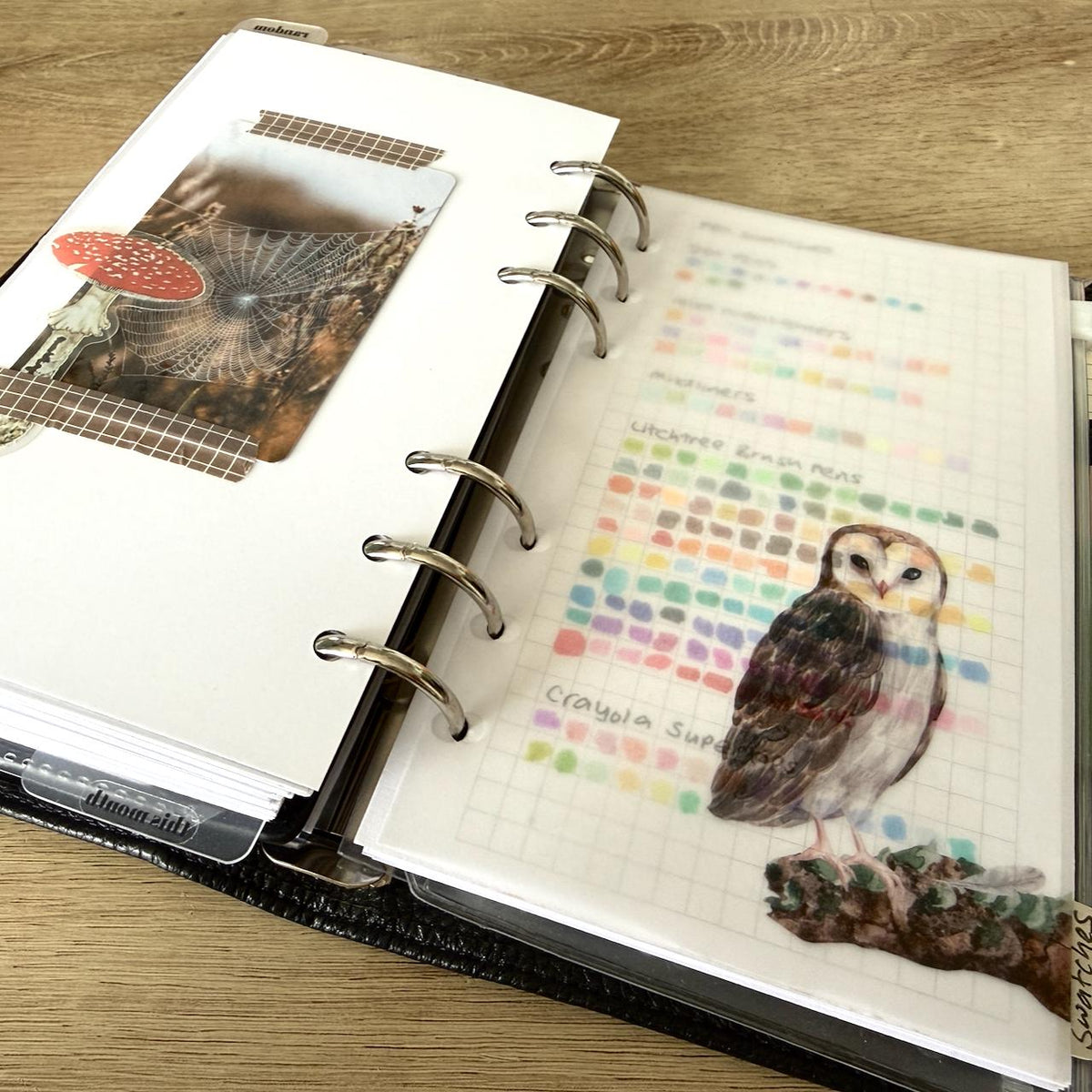 Journal Cards - Cosy Witch Vibes - 5 Pack for Planner Deco - Use as Bookmarks, Decoration - Clip and Card Holder Options