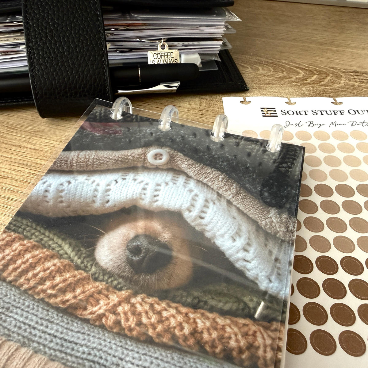 Cozy Dog Book Front & Back Covers - With or Without Discs and Protective Clear Covers - Create Your Sticker System
