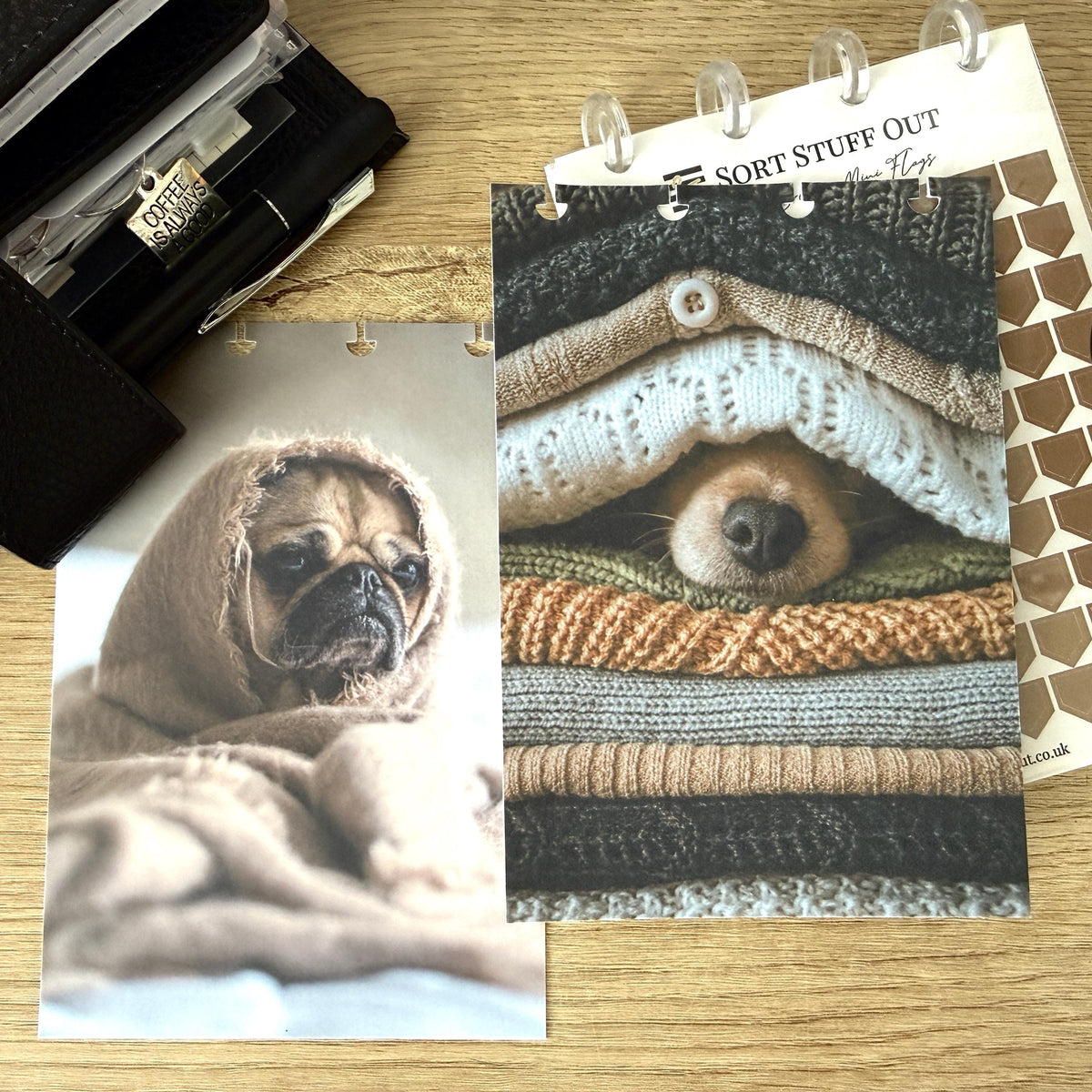 Cozy Dog Book Front & Back Covers - With or Without Discs and Protective Clear Covers - Create Your Sticker System
