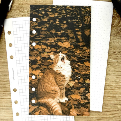Autumn Forest Cat Dashboard - Choose Your Ring or Disc Planner Size